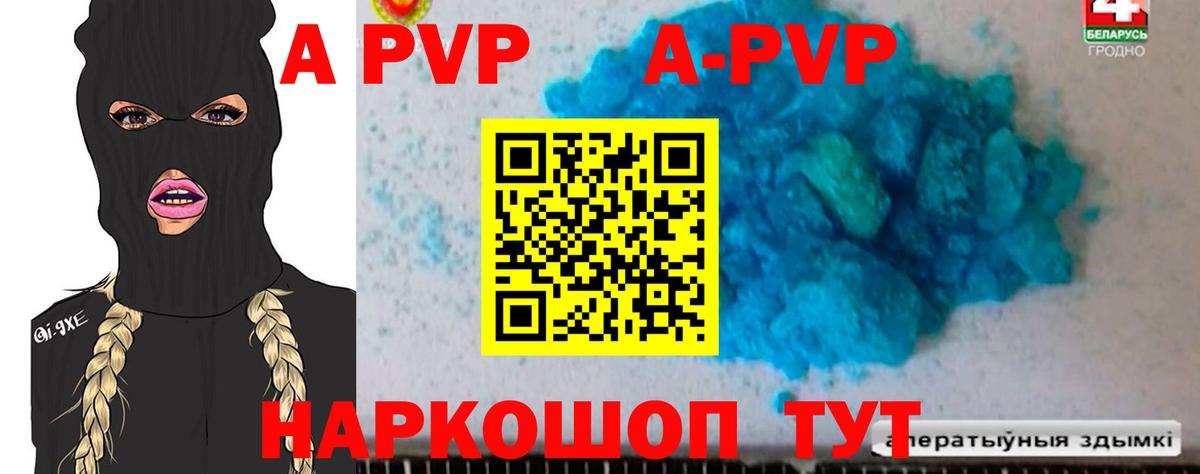 Альфа ПВП СК Кузнецк