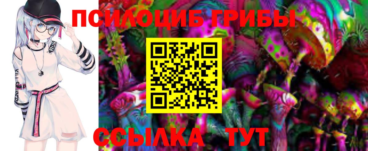 Галлюциногенные грибы мухоморы  Вход с VPN  Галлюциногенные грибы GOLDEN TEACHER  Кузнецк 